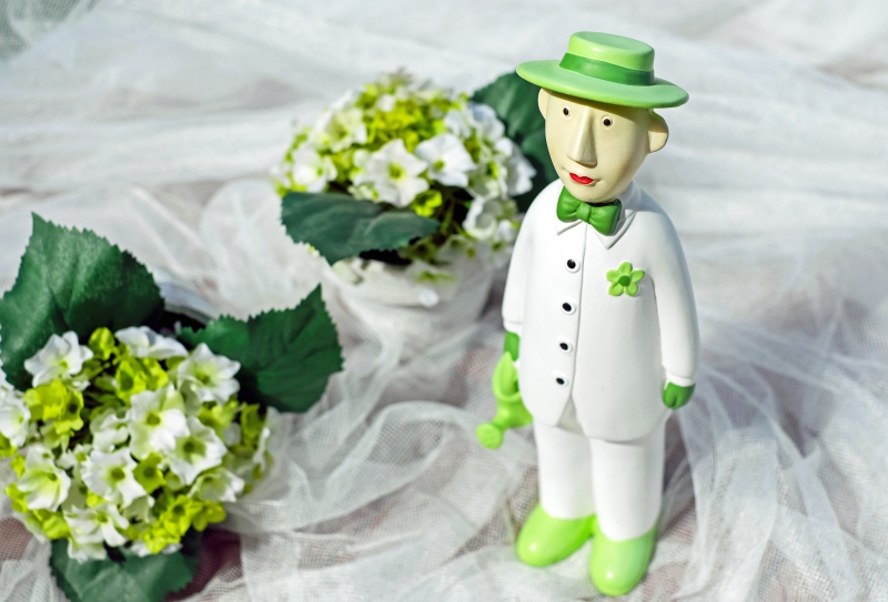 boutique-CHATEAUNEUF VILLEVIEILLE-min_man-person-flower-green-toy-fig-546529-pxhere.com